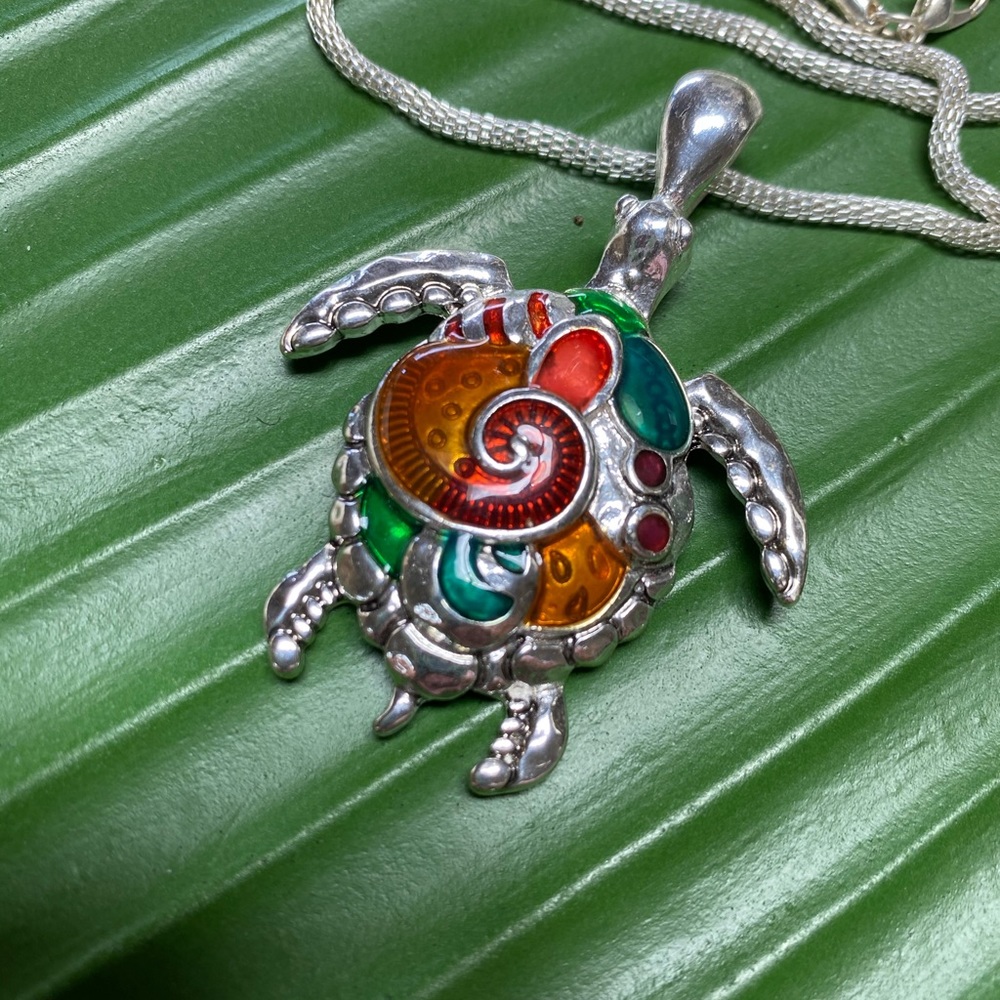 Cloisonné Turtle and Earring Set NWOT